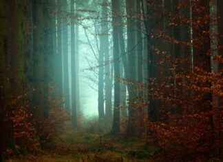 Posiciones De Rayo Vallecano Contra Real Madrid En El Ranking General Posiciones De Rayo Vallecano Contra Real Madrid En El Ranking General