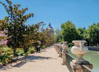 Posibles Alineaciones de Real Madrid contra Alavés Antes del Encuentro Posibles Alineaciones de Real Madrid contra Alavés Antes del Encuentro