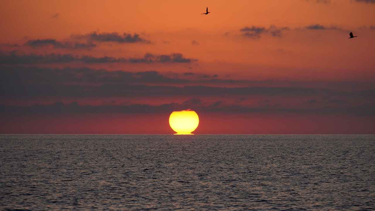 ¿Cuáles son las alineaciones probables del R.C.D. Mallorca?