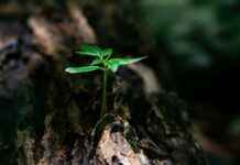 ¿Qué Hora Es En Panamá: Conoce La Hora Actual En Tiempo Real? ¿Qué Hora Es En Panamá: Conoce La Hora Actual En Tiempo Real?