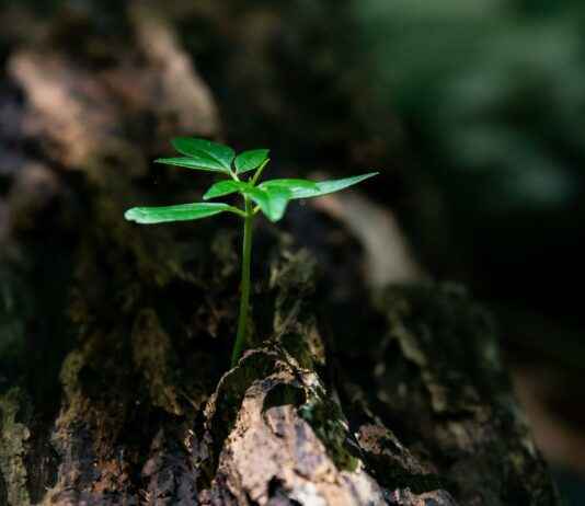 ¿Qué Hora Es En Panamá: Conoce La Hora Actual En Tiempo Real? ¿Qué Hora Es En Panamá: Conoce La Hora Actual En Tiempo Real?
