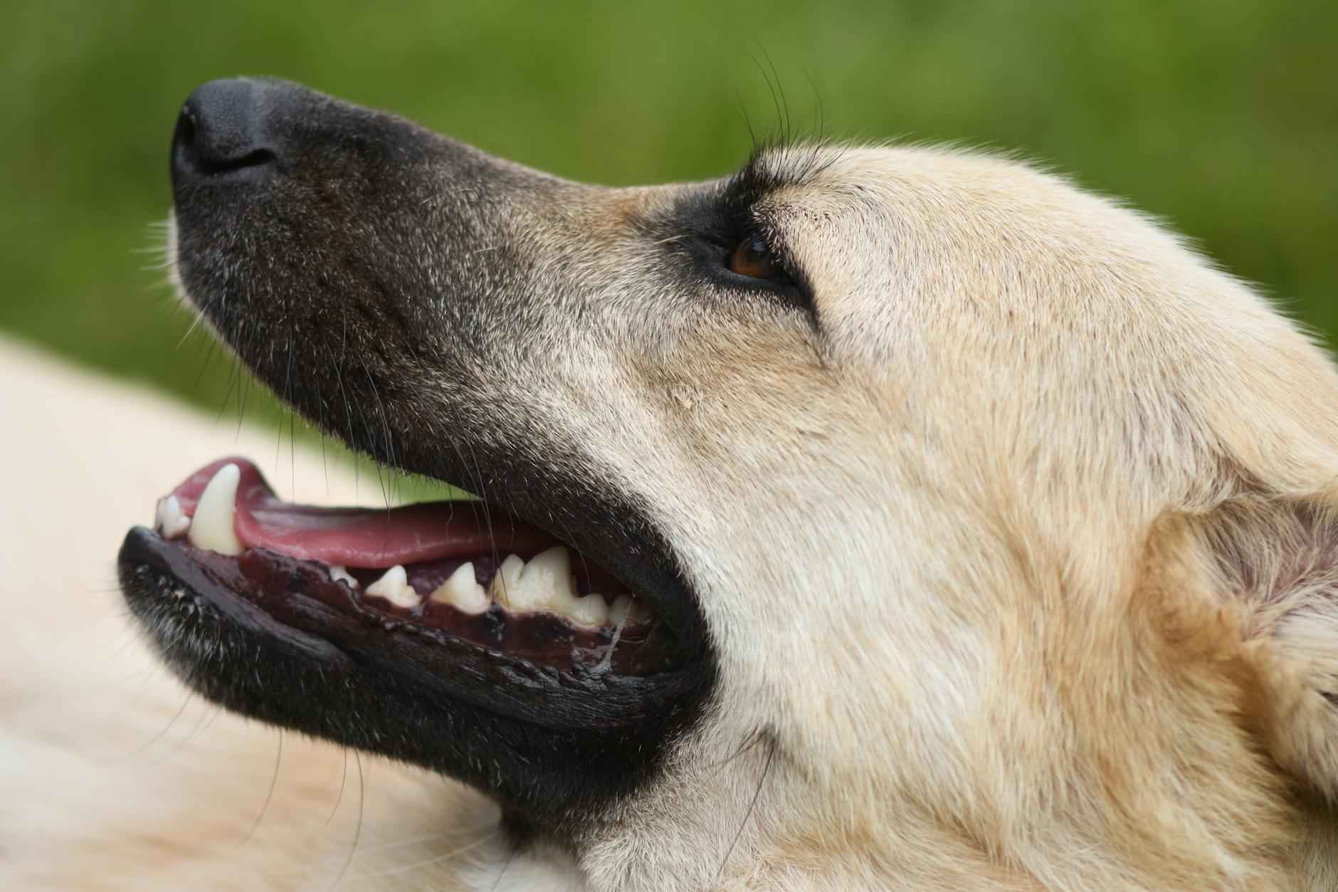 ¿Qué tipo de contenido se comparte en OnlyFans?