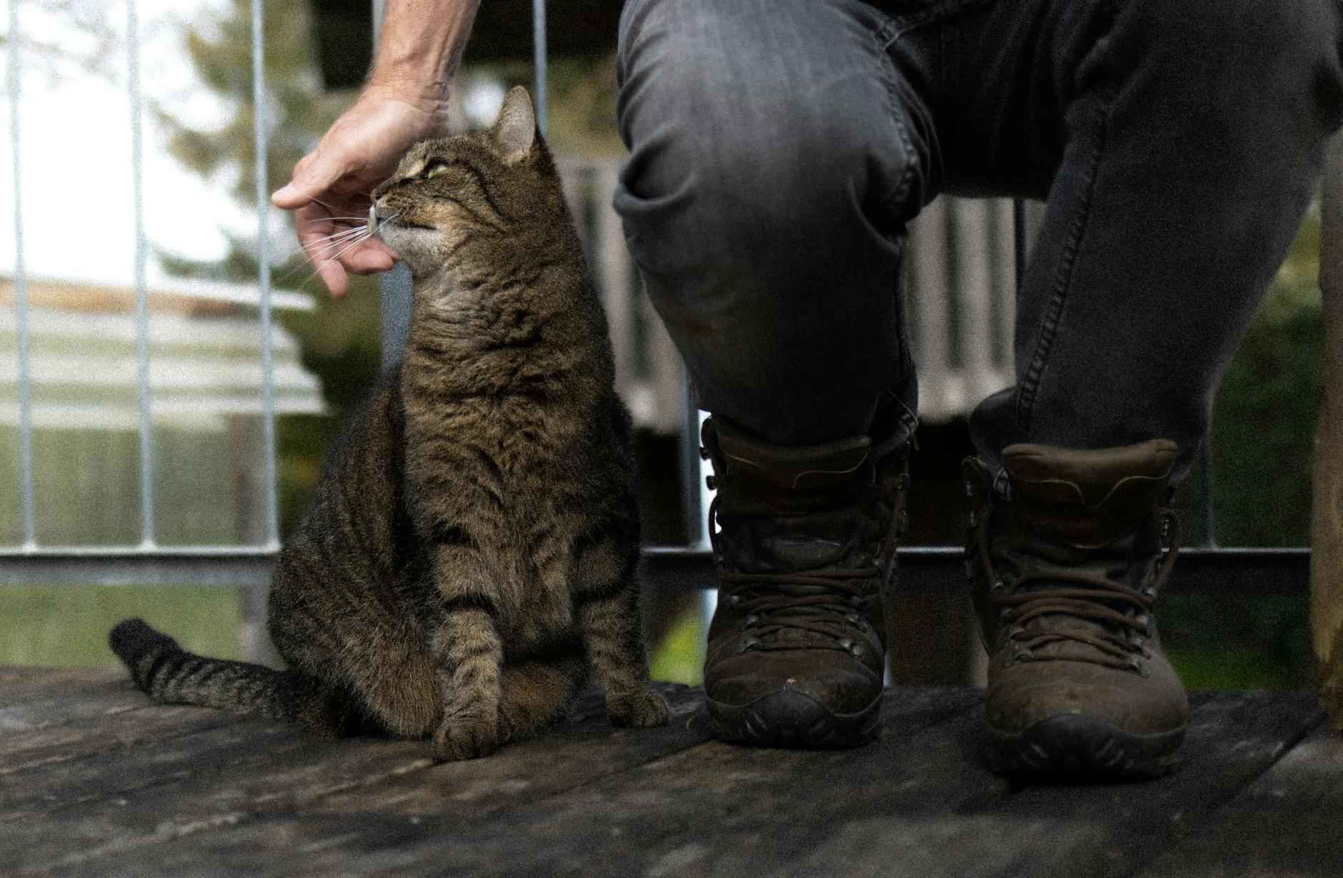 ¿Existen filtraciones de contenido en OnlyFans?