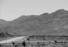 Rachel Dolezal Perfil de OnlyFans – ¿Tiene fotos o videos filtrados? Rachel Dolezal Perfil de OnlyFans – ¿Tiene fotos o videos filtrados? # Rachel Dolezal Perfil de OnlyFans – ¿Tiene fotos o videos filtrados?