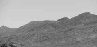 Rachel Dolezal Perfil de OnlyFans – ¿Tiene fotos o videos filtrados? Rachel Dolezal Perfil de OnlyFans – ¿Tiene fotos o videos filtrados? # Rachel Dolezal Perfil de OnlyFans – ¿Tiene fotos o videos filtrados?