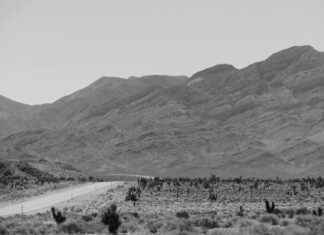 Rachel Dolezal Perfil de OnlyFans – ¿Tiene fotos o videos filtrados? Rachel Dolezal Perfil de OnlyFans – ¿Tiene fotos o videos filtrados? # Rachel Dolezal Perfil de OnlyFans – ¿Tiene fotos o videos filtrados?