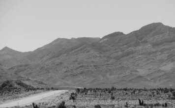 Rachel Dolezal Perfil de OnlyFans – ¿Tiene fotos o videos filtrados? Rachel Dolezal Perfil de OnlyFans – ¿Tiene fotos o videos filtrados? # Rachel Dolezal Perfil de OnlyFans – ¿Tiene fotos o videos filtrados?