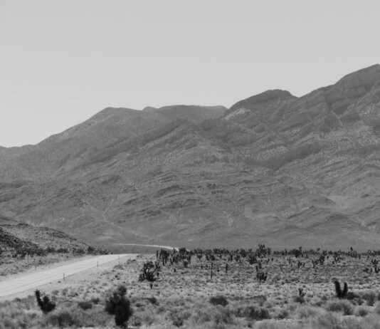 Rachel Dolezal Perfil de OnlyFans – ¿Tiene fotos o videos filtrados? Rachel Dolezal Perfil de OnlyFans – ¿Tiene fotos o videos filtrados? # Rachel Dolezal Perfil de OnlyFans – ¿Tiene fotos o videos filtrados?