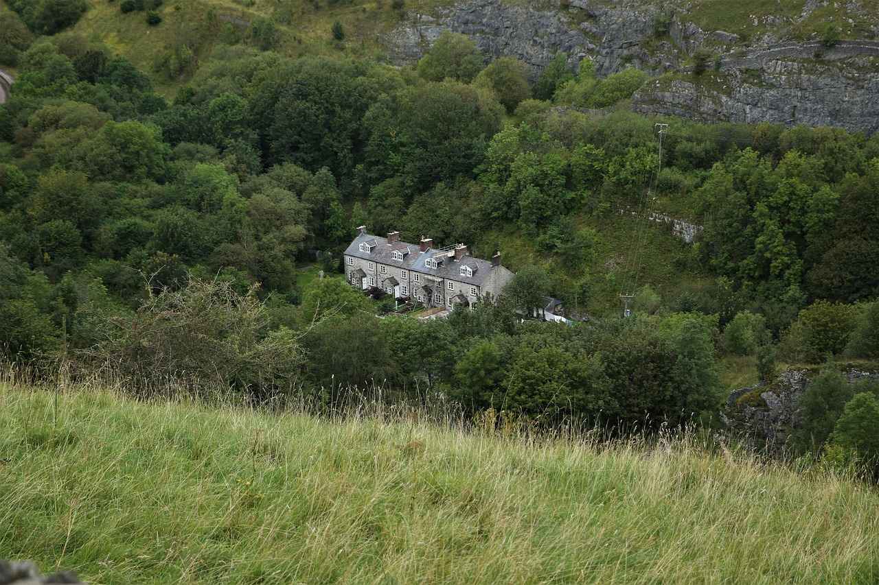 Red Light District Residence on Ground Floor – Lo que debes saber sobre residencias en la zona del Red Light District de Ámsterdam 5 ¿Cómo es la comunidad en el Red Light District?