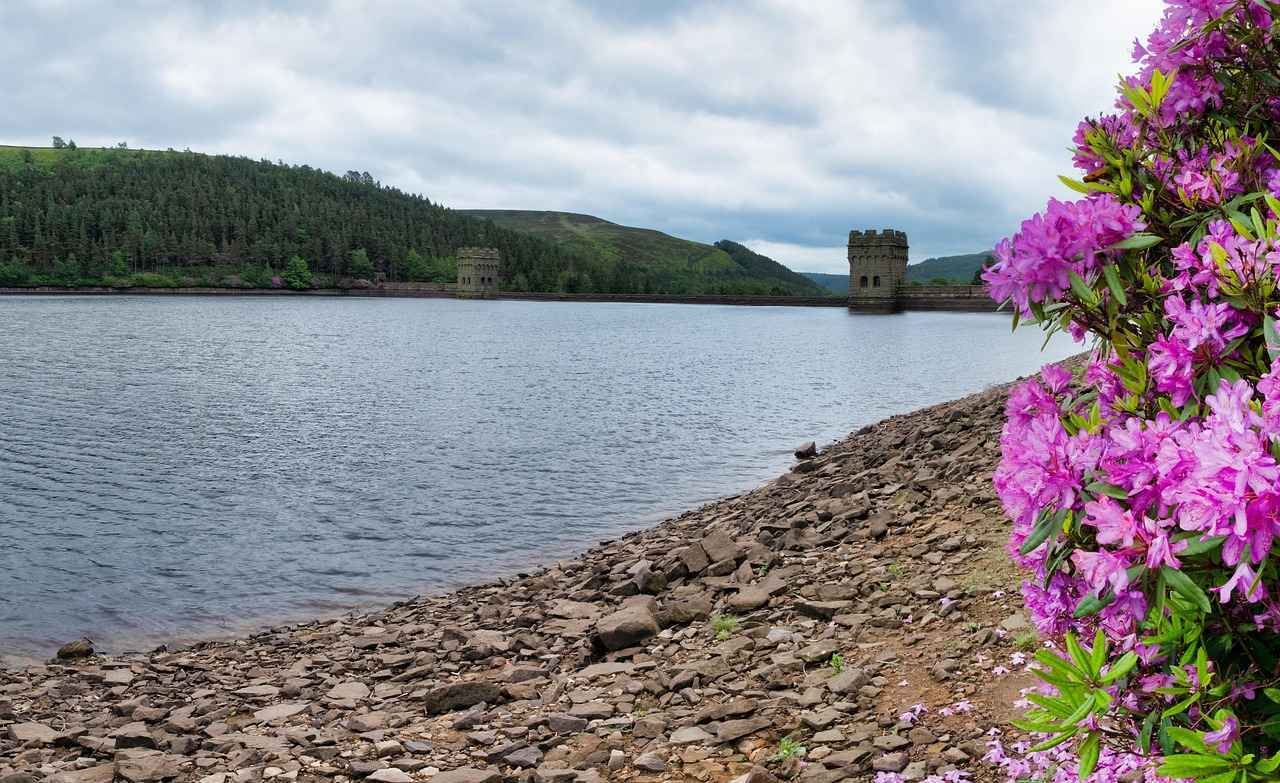 Red Light District Residence on Ground Floor – Lo que debes saber sobre residencias en la zona del Red Light District de Ámsterdam 3 ¿Cuáles son los beneficios de vivir en el Red Light District?