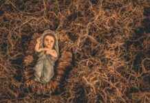 Ree Marie Perfil de OnlyFans – ¿Tiene fotos o videos filtrados? Ree Marie Perfil de OnlyFans – ¿Tiene fotos o videos filtrados? # Ree Marie Perfil de OnlyFans – ¿Tiene fotos o videos filtrados?