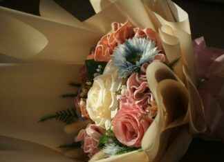 Salice Rose Perfil de OnlyFans – ¿Tiene fotos o videos filtrados? Salice Rose Perfil de OnlyFans – ¿Tiene fotos o videos filtrados? # Salice Rose Perfil de OnlyFans – ¿Tiene fotos o videos filtrados?