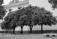 Separación De Panamá De Colombia: Contexto Histórico Y Consecuencias Separación De Panamá De Colombia: Contexto Histórico Y Consecuencias