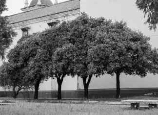 Separación De Panamá De Colombia: Contexto Histórico Y Consecuencias Separación De Panamá De Colombia: Contexto Histórico Y Consecuencias