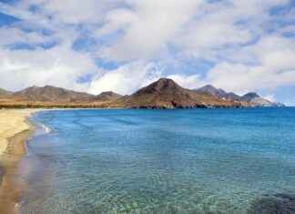 slot in slot – Todo sobre los juegos de tragamonedas y cómo elegir los mejores slot in slot – Todo sobre los juegos de tragamonedas y cómo elegir los mejores