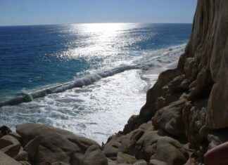 Steve Lucas y Foxxx Staggs – Todo sobre la colaboración entre Steve Lucas y Foxxx Staggs en la industria musical Steve Lucas y Foxxx Staggs – Todo sobre la colaboración entre Steve Lucas y Foxxx Staggs en la industria musical