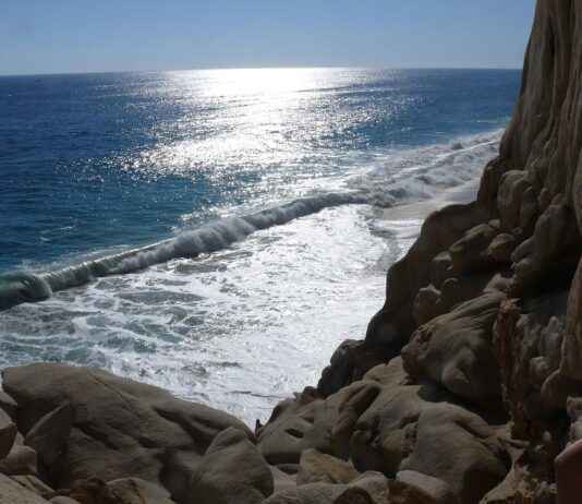 Steve Lucas y Foxxx Staggs – Todo sobre la colaboración entre Steve Lucas y Foxxx Staggs en la industria musical