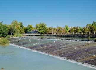 Las Alineaciones Más Fuertes del Real Madrid Contra el Fútbol Club Barcelona Las Alineaciones Más Fuertes del Real Madrid Contra el Fútbol Club Barcelona