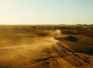 Tatuajes temporales – Ideas de tatuajes temporales originales y seguros para tu piel Tatuajes temporales – Ideas de tatuajes temporales originales y seguros para tu piel