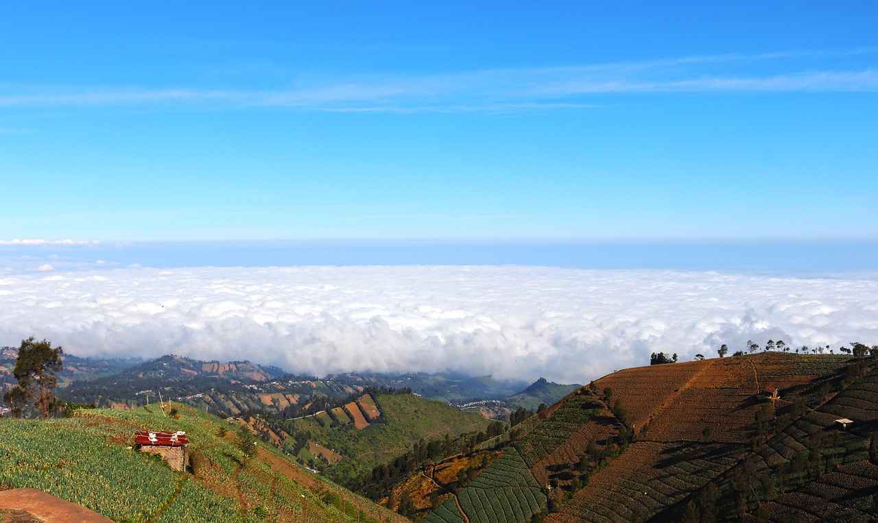 ¿Cómo afecta el TAV B a la infraestructura de transporte?