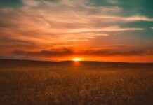 The Westin Playa Bonita Panamá: Opiniones Y Servicios Del Hotel The Westin Playa Bonita Panamá: Opiniones Y Servicios Del Hotel