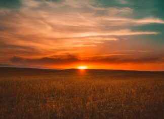 The Westin Playa Bonita Panamá: Opiniones Y Servicios Del Hotel The Westin Playa Bonita Panamá: Opiniones Y Servicios Del Hotel