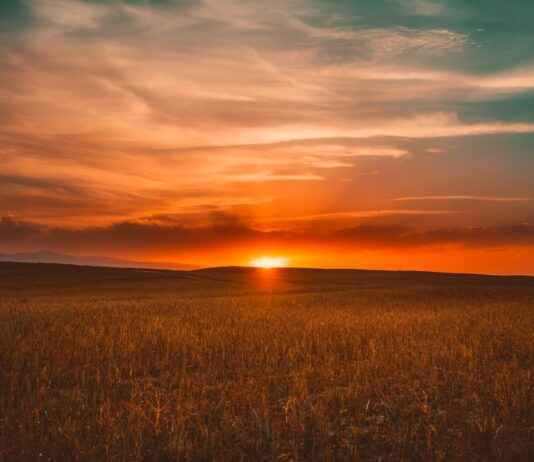 The Westin Playa Bonita Panamá: Opiniones Y Servicios Del Hotel The Westin Playa Bonita Panamá: Opiniones Y Servicios Del Hotel