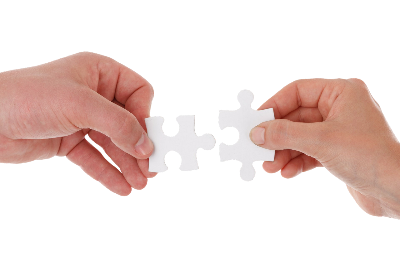 ¿Cuáles son las características destacadas de las Transit Connect?