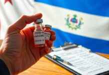 Vacunas. Panamá Solidario. Gob. Pa: Información Oficial Y Actualizaciones Vacunas. Panamá Solidario. Gob. Pa: Información Oficial Y Actualizaciones