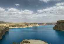 Vale Digital Panamá Solidario Verificar Cédula: Paso A Paso Para Confirmar Tu Ayuda Vale Digital Panamá Solidario Verificar Cédula: Paso A Paso Para Confirmar Tu Ayuda