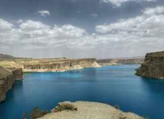 Vale Digital Panamá Solidario Verificar Cédula: Paso A Paso Para Confirmar Tu Ayuda Vale Digital Panamá Solidario Verificar Cédula: Paso A Paso Para Confirmar Tu Ayuda