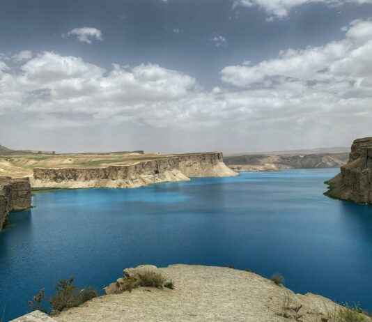 Vale Digital Panamá Solidario Verificar Cédula: Paso A Paso Para Confirmar Tu Ayuda Vale Digital Panamá Solidario Verificar Cédula: Paso A Paso Para Confirmar Tu Ayuda