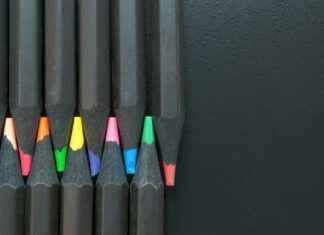 videos de zoofimia – Riesgos legales y psicológicos de ver videos de zoofimia videos de zoofimia – Riesgos legales y psicológicos de ver videos de zoofimia