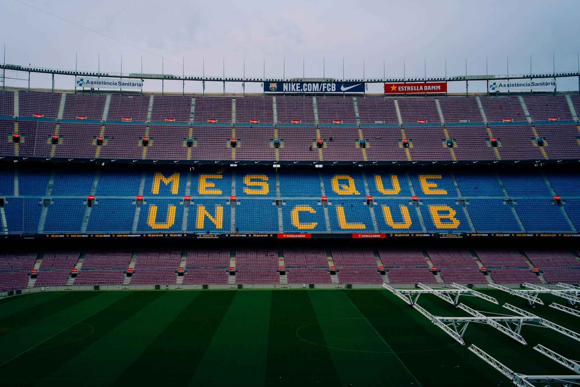 Predicciones para el Partido