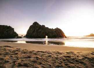 ¿Quién Brillará? Alineaciones de Rayo Vallecano contra Fútbol Club Barcelona ¿Quién Brillará? Alineaciones de Rayo Vallecano contra Fútbol Club Barcelona