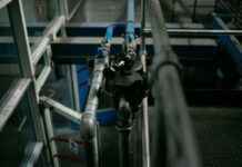 Www Panamá Digital Gob Pa: Qué Trámites Puedes Realizar En El Portal Www Panamá Digital Gob Pa: Qué Trámites Puedes Realizar En El Portal