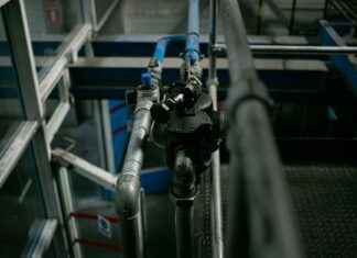 Www Panamá Digital Gob Pa: Qué Trámites Puedes Realizar En El Portal Www Panamá Digital Gob Pa: Qué Trámites Puedes Realizar En El Portal