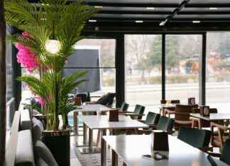 Www Panamá Solidario Gob Pa Sección Bono: Dónde Verificar Tu Información Www Panamá Solidario Gob Pa Sección Bono: Dónde Verificar Tu Información