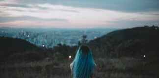 Www Panama Solidario Gob Pa: Todo Lo Que Puedes Hacer Desde El Portal Www Panama Solidario Gob Pa: Todo Lo Que Puedes Hacer Desde El Portal