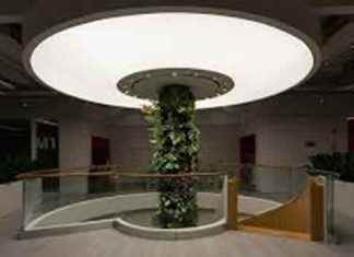 Banisi: ¿Cómo Transformar Tu Espacio con Estilo y Originalidad? Banisi Cómo Transformar Tu Espacio con Estilo y Originalidad