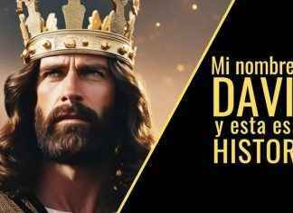 David: ¿Cómo Transformar Tu Vida Con Su Inspiradora Historia? David Cómo Transformar Tu Vida Con Su Inspiradora Historia