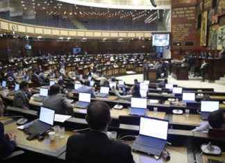 Proyecto de ley sobre derechos de imagen de los niños en las redes: votación final en la Asamblea Nacional Proyecto de ley sobre derechos de imagen de los niños en las redes votación final en la Asamblea Nacional