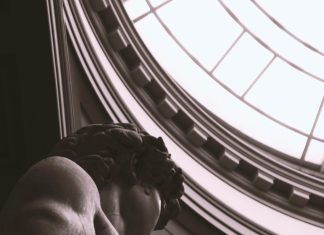 David Chiriquí: ¿Por Qué Su Destino Es Imperdible Para Viajeros?