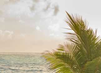 Benicio Robinson: ¿Quién Es Este Misterioso Personaje?