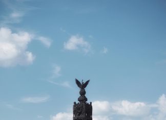 Autoridad Nacional De Aduanas: ¿Cómo Afecta Tu Comercio?