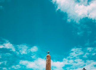 Combustible Panama Solidario: ¿Cómo Afecta Tu Economía Local?