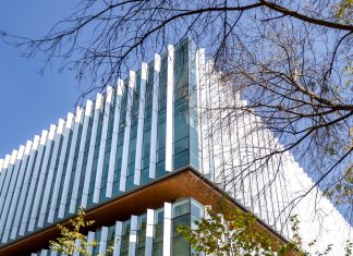 Instituto Atenea: ¿Cómo Transformar Tu Futuro Profesional?