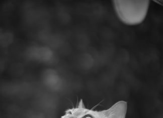 Centro De Salud: ¿Cómo Mejorar Tu Bienestar Y Calidad De Vida?