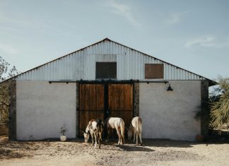 Región Del Darién: Descubre Sus Secretos y Bellezas Ocultas