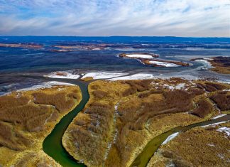 Petroleos Delta: ¿Cómo Impacta en el Futuro Energético de Latinoamérica?